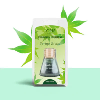 CAR SMELL SPRING BREZE