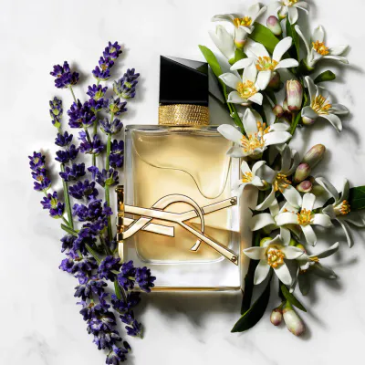 K274 - LIBRE YSL