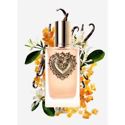 K290- DEVOTION D&G