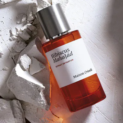 U35 - MAISON CRIVELLI - HIBISCUS MAHAJAD